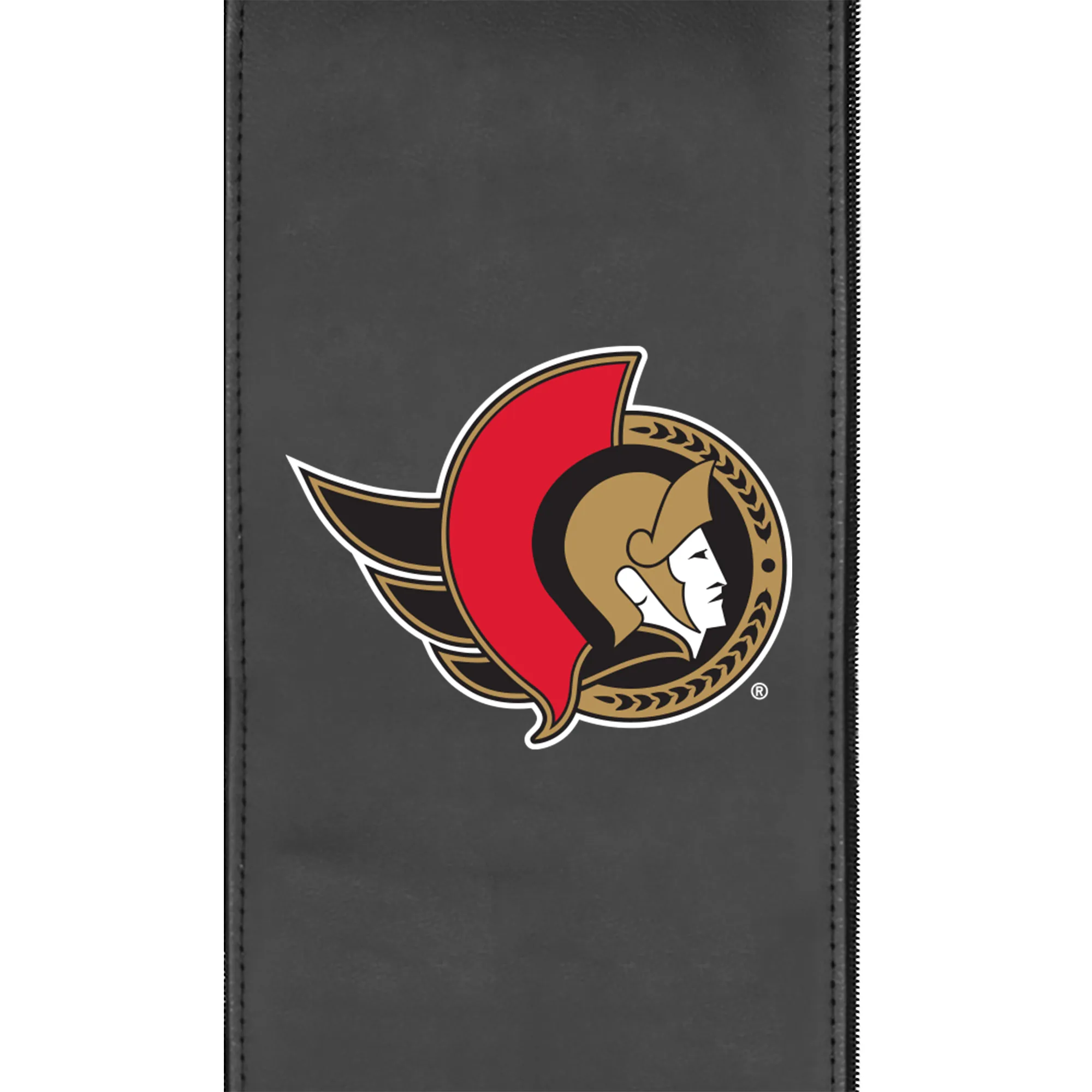 Ottawa Senators Primary Logo Panel